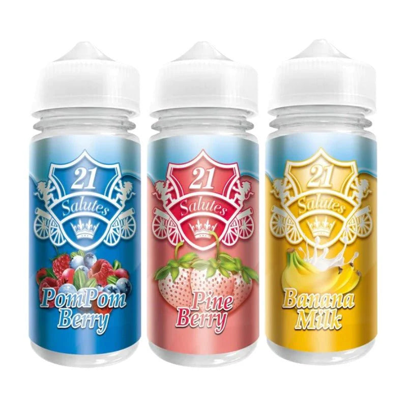 21-salutes-100ml-shortfill-pine-berry-vapeukwholesale - Infuse Vapes